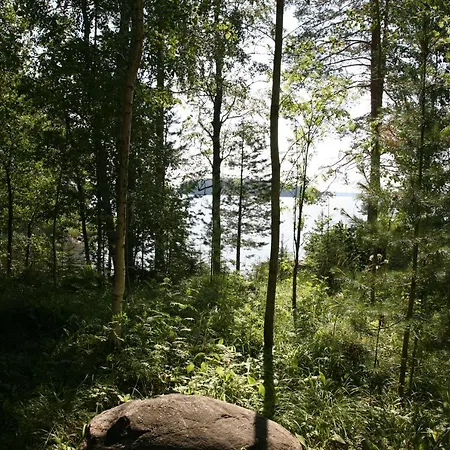 Karpalo Litmaniemi